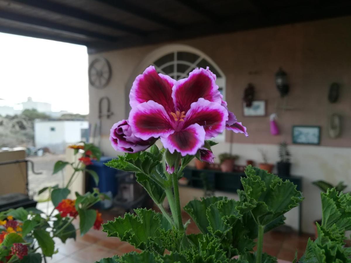 Casa Papi Daire Lajares Dış mekan fotoğraf